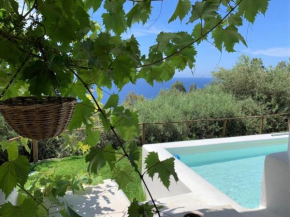 Le Case Ulivo di Rinella